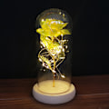 Miniatyrbillede 1 af 5: 24k guldfolie rose glasdæksel LED udødelig blomst