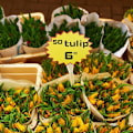 Miniatyrbild 2 av 5: Prislapp för butik i papper 100 stycken 8,1 x 10,9 cm
