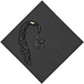 Miniatyrbillede 3 af 4: Hætte til dimission - Student hue til dimission fra universitet eller gymnasium - Sort student hue, One size 54 cm - 61 cm