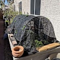 Miniatyrbilde 3 av 5: Hage drivhus - 30 stk hus kirsebær hage hage, buer for tunnel drivhus, drivhus kit tunnel ramme hage for utendørs bruk