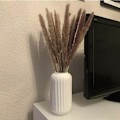 Miniatyrbillede 5 af 5: 10 Pampa græs Natur tørret Pampa pampe pampest dekoration af tørrede blomster (primærfarve)