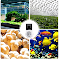 Miniatyrbillede 5 af 5: Digital Temperaturregulator Stik Termostat, Varmetermostat med NTC Sensor