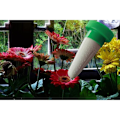 Miniatyrbild 3 av 5: Set med 12 keramiska blomkrukor för automatisk bevattning av växter med dropp- och automatiska bevattningstips för blommor, bevattningssystem för utomhus- och inomhusbruk