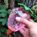 Miniatyrbillede 4 af 5: 2 stk. Kegle Vandingsflaske 500ML, Ler Kugle Indendørs Plante, Automatiske Vandingssystemer til Plantepotte, Vanddispenser Planter Vanding Ferier Tran