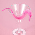 Pikkukuva 2 / 5: Caterpillar Magic Props Tricky Novelty Toys 12 Random Colors 20cm