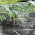 Miniatyrbillede 4 af 5: Insektnet, 2.510m insektbeskyttelsesnet, anti-insektnet til planter, myggehave net, havebeskyttelsesnet til beskyttelse af planter frugter