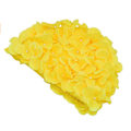 Miniatyrbillede 2 af 4: Vintage badedragt til kvinder, blomsterprint, retro-stil, gul