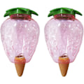 Miniatyrbillede 1 af 5: 2 stk. Kegle Vandingsflaske 500ML, Ler Kugle Indendørs Plante, Automatiske Vandingssystemer til Plantepotte, Vanddispenser Planter Vanding Ferier Tran