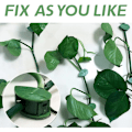Miniatyrbild 3 av 4: 80 stycken växtfixering, klämma för klätterväxter på vägg, självhäftande växtklämmor i form av ett blad, stödklämmor för klätterväxter w
