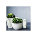 Miniatyrbillede 5 af 5: Automatisk vandingssystem til planter, 20m høj vandabsorption af automatisk vanding til haver, kurve, potter, planter