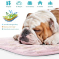 Miniatyrbilde 4 av 5: Kjølematte for kjæledyr, hundekatter Kjølematte Kjølepute Kald seng Teppe Is Silke Kjølematte Varmeavledningsmatte for bilseter Senger om sommeren S