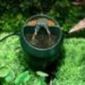 Miniatyrbillede 3 af 4: Reptil Drikkevand Springvand Fodring Reptil Terrarium Dispenser