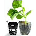 Miniatyrbillede 4 af 5: 10 stk. Krogplante Kurv Hydroponisk Planter Gelænder Plantevækst Kurv Pp Spand Kurv Sort Selvudsprøjtning