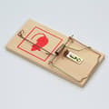 Miniatyrbilde 1 av 5: 2 stk musefeller Type swatter Liten tre