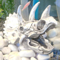 Miniatyrbilde 3 av 5: Harpiks Dinosaur Triceratops Dinosaur Skull Akvarium Fisk Tank Dekorasjoner Hule Landskap for Slange, Fisk, Reker