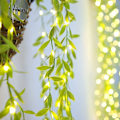 Miniatyrbild 2 av 5: Utomhus solcellsslinga, Willow-blad Utomhusljusslinga 100led-3m-8 lägen, Vattentät solcellsslinga, för bröllop, staket, jul, fester, trädgård