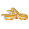 Pikkukuva 4 / 4: Realistinen teko-python lelu kumi käärme python hahmo Halloween pila props kauhu lahja lelu