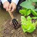 Miniatyrbillede 4 af 5: 3 stk. Haveredskabssæt, Bonsai-værktøj, Mini-haveredskaber til urtepotter, planter og frøplanter