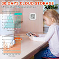 Miniatyrbillede 3 af 4: Termometer-hygrometer-monitor med smart-app