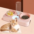 Pikkukuva 2 / 4: Amelles pour Chat, Bowl Automatici Abreuvoir Pet Gatii Chat para Deau et de Nourriture  (Rose)