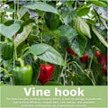 Miniatyrbilde 4 av 5: Sett med 10 tomatkroker med tau, for tomater og agurker, drivhus for andre grønnsaker