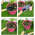 Miniatyrbillede 5 af 5: 3 stk. Haveredskabssæt, Bonsai-værktøj, Mini-haveredskaber til urtepotter, planter og frøplanter