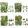 Miniatyrbilde 1 av 5: 4 Pakke Presset Tørkede Blader Herbarium Plante Kronblad Blader Mix Ekte Naturlige Tørkede Blader For Resin Art DIY Nail Art Pynt Klistremerker Presset Le