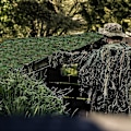 Miniatyrbild 4 av 4: Woodland Military Network Camouflage Netting Lätt Vikt Hållbar