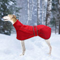 Miniatyrbillede 4 af 4: Premium Hundejakke Med Termisk For - Rød - XXL