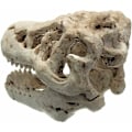 Miniatyrbillede 4 af 5: Dekorationsakvarium akvariedekoration harpiks simulation dinosaur hoved deco akvarium til fisk firben krybdyr skjul hule dekoration til akvarium