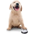 Miniatyrbillede 2 af 5: 2 pakke hundeklokker (sorte) til dørtræning, kæledyrsklokker til hunde til at ringe ud, kvalitetshøj og skarp dørklokke, kommunikationsenhed til hvalpe og
