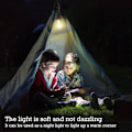 Miniatyrbild 2 av 5: 2-delad batteridriven tältlampa för sovrum, bärbar utomhus hängande retro LED-campinglampa, orkanhängande nödbelysningslykta för