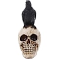 Miniatyrbillede 1 af 3: Harpiks Håndværk Statuer til Dekoration Skalle Ravn Skalle Mode Hjem Dekoration Kreativ Statue Brugerdefinerede Ornamenter (21*10*15cm/8.26*3.93*5.9inch)