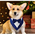 Miniatyrbillede 4 af 5: Blå S Hundekrave Formel Bryllups Bandana Med Sløjfe Fødselsdag Kostume Justerbar Kæledyr Fest Tux