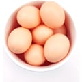 Miniatyrbild 4 av 4: Set med 10 plastfågelägg, konstgjorda hönsägg, ägg för att hjälpa hönor att lägga konstgjorda ägg