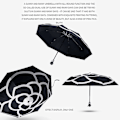 Miniatyrbillede 3 af 4: Camellia Automatisk Paraply til Kvinder og Mænd, Sammenfoldelig Anti-UV Transparent Parasol, Sort Kamelia