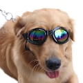 Miniatyrbillede 3 af 5: Foldbare Solbriller til Hunde, Bærbare Hunde Solbriller, UV Beskyttelse, Solbriller til Kæledyr, 1 stk. Sort