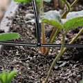 Pikkukuva 4 / 4: 100 kpl T-letkuliitin 4/7mm - T-liitinliitin PVC-kastelu
