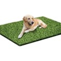 Miniatyrbilde 1 av 4: Kunstig hundegress for hund, kunstig plenmatte for å lære valpen renslighet, vaskbar plenmatte, gress for tiss for hundeavfall (50 × 70 cm)