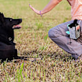 Miniatyrbillede 4 af 5: Godbidderpose til hunde, godbidderpose til træning af små til store hunde, bærer nemt kæledyrlegetøj, foderpiller, godbidder, indbygget dispenser til hundeposer, blå
