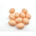 Miniatyrbilde 2 av 4: Sett med 10 plast dummy egg rede egg falske hønseegg egg for å hjelpe høner med å legge kunstige egg
