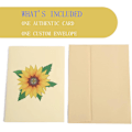Miniatyrbilde 4 av 5: 3D Pop Up Gratulasjonskort, Pop Up Kort 3D Gratulasjonskort Sommerfugl Bursdagskort Egnet for Gradueringsdag Bryllupsdag Alle Anledninger 15×20 cm