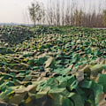 Miniatyrbillede 2 af 5: Rektangulært skyggesejl i grønt camouflage mesh, 3x6m, camouflage design