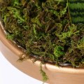 Miniatyrbild 4 av 5: Konstgjord falsk mossa fräsch falsk grön mossa dekorativ falsk bulk mossa för blomsterplanta trädgård gräsmatta hantverksdekoration