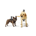 Miniatyrbilde 4 av 5: Sportskamera tilbehør, bryststropp + hodebåndsmonteringssett med skruer for GoPro, Xiaomi YI, SJCAM, Campark, Victure, Crosstour, Apeman actionkamera