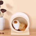 Miniatyrbillede 3 af 5: Lille dyrehjul, hamster træningshjul, hamsterhjul, lydløst træ hamster træningshjul, til hamstere, gerbiler, kæledyrsmus, hvide mus