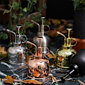 Miniatyrbillede 4 af 4: Retro Vandkande Blomsterplante Kedel Have Bruser Sprayer Vandkande Vandkande Sprayer Flaske (Shiny Gold)
