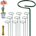 Miniatyrbild 1 av 5: Set med 10 metallväxtstöd, blomstöd för robusta trädgårdsväxter för amaryllis, liljor, pion, vitt papper, orkidéer