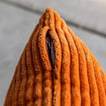 Miniatyrbillede 3 af 3: 2 stk. Rektangulær Cordfløjl Stribet Aflang Pudebetræk til Sofa Lændepudebetræk, Brændt Orange