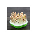 Miniatyrbillede 2 af 5: 20x14cm 2 Sæt Grøntsagsbakke spireplatforme platforme spireplatforme til frøplanter heste- planteskoleplatforme ernæringsmæssig plast porøs c